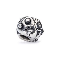 Charm Trollbeads in Argento TAGBE-20073 - TAGBE-20073